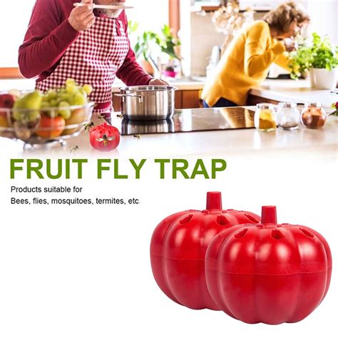 2 Pack Fruit Fly Traps For Indoors Gnats Traps For House Indoor Reusable Gnat Killer Indoor