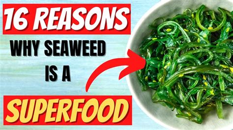 Seaweed Benefits 16 Impressive Health Benefits Of Seaweed YouTube