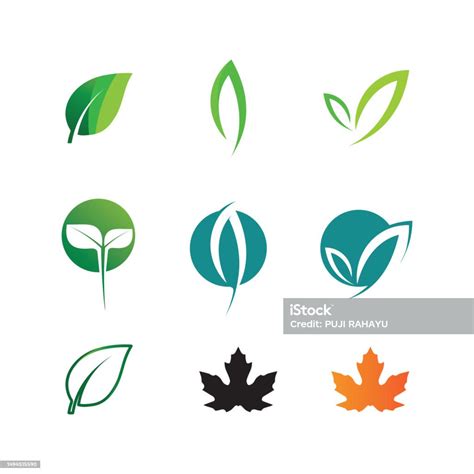 Plant Seeds Logo Concept Template Vectorgrowing Seed Logoseed Grow ...