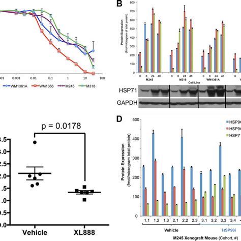 LC MRM MS Analysis Of Activation Loop And Control Peptides From