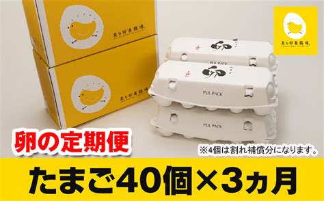 【定期便】3ヵ月連続お届け 美ら卵養鶏場の卵 各月40個 ふるさとパレット ～東急グループのふるさと納税～