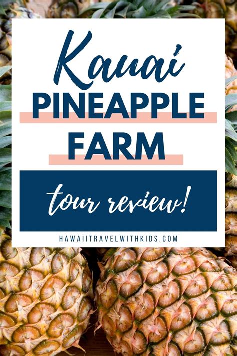 Should You do a Kauai Pineapple Plantation Tour? (2023)