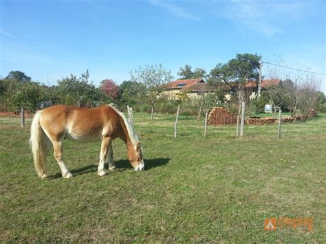 Camping Le Douvet In Terres De Haute Charente Charente Alle