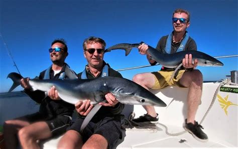 Pêche du requin au large du Bassin d Arcachon Rodmaps