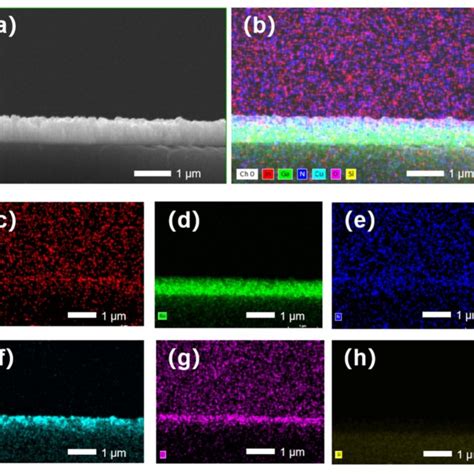 A Cross Sectional Tem Image And B F Eds Element Mappings B