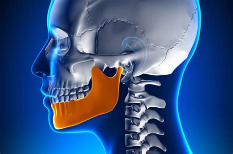 Quilibre Des Dents Et Des Macho Res