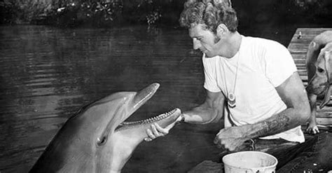 The Dolphin Who Played Flipper Committed Suicide And Your Childhood Is