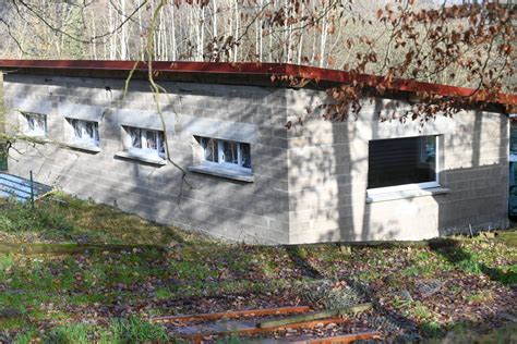 Photos Saint Dié des Vosges les animaux de la SPA déodatienne