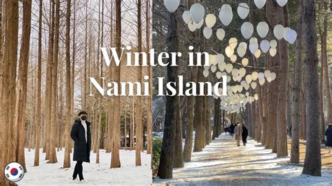 Winter in Nami Island | Winter Sonata Filming Location, Gapyeong Tour, First Snow, Day Trip to ...