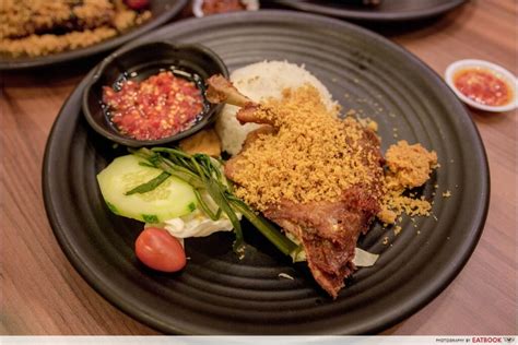 Bebek Goreng Pak Ndut Review Halal Certified Crispy Duck Rice At