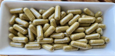 Damiana Capsules 100 Vegan Capsules No Additives Pure Organic | Etsy