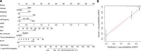 Developed Prognosis Nomogram Model For Year Rfs Nomogram For