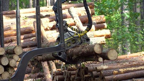 Loading Logs On A Truck Trailer Using A Tractor Loader With A Grab