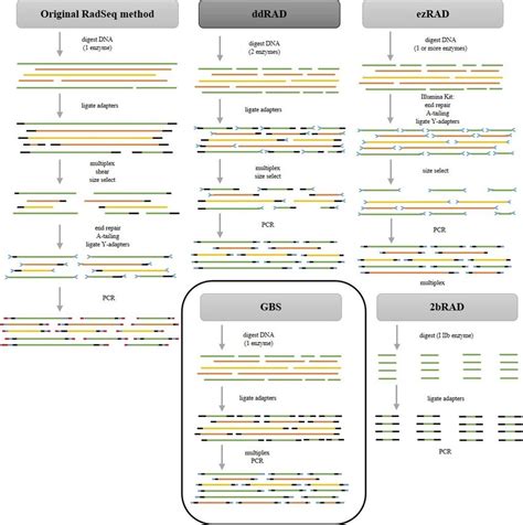 Comparison Of Restriction Site Associated Dna Sequencing Methods