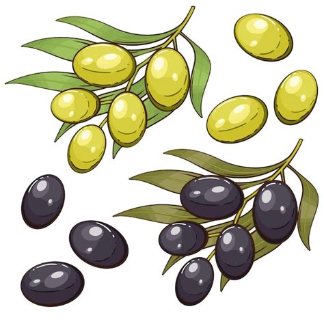 Ilustração de legumes frescos legumes mix azeitonas Vetor Premium