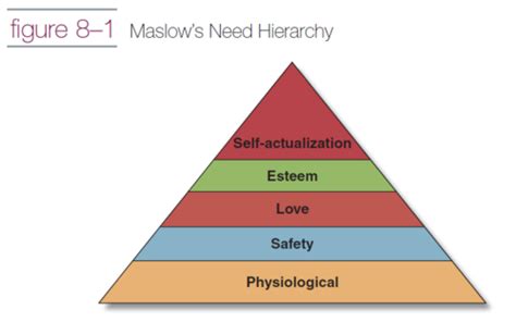 Module 2 Theories Of Human Development Flashcards Quizlet