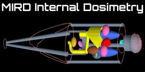 Nuclear Medical Physics Oncology Medical Physics