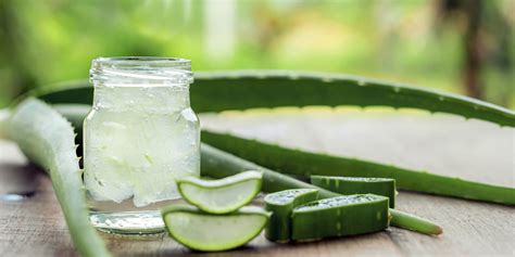 Sábila o aloe vera qué es propiedades beneficios FarmaZara Blog