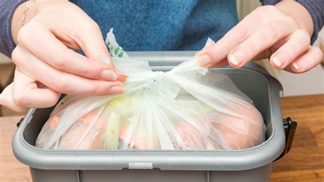 Biodegradable Trash Bags: Why You Should Stop Buying Them, Now! | 2024