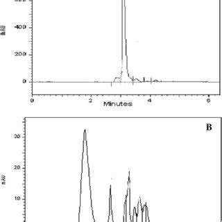 Two Possible Routes Of Acetylation Of Hydralazine From The Crystal