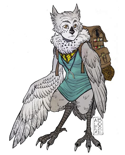 Owl Harpy Adventurer : r/characterdrawing