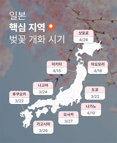 일본 전국 벚꽃 개화시기 및 축제 모음