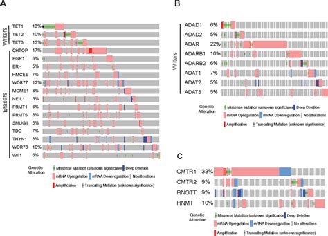 Figure 2 From Dissecting The Role Of RNA Modification Regulatory