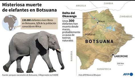 Develan El Misterio De La Muerte De Los 350 Elefantes Hace Cuatro Años