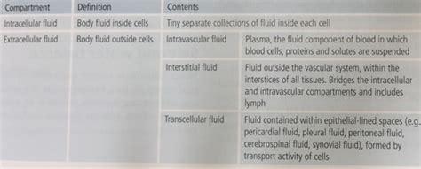 Body Fluid Compartments And Fluid Homeostasis Flashcards Quizlet