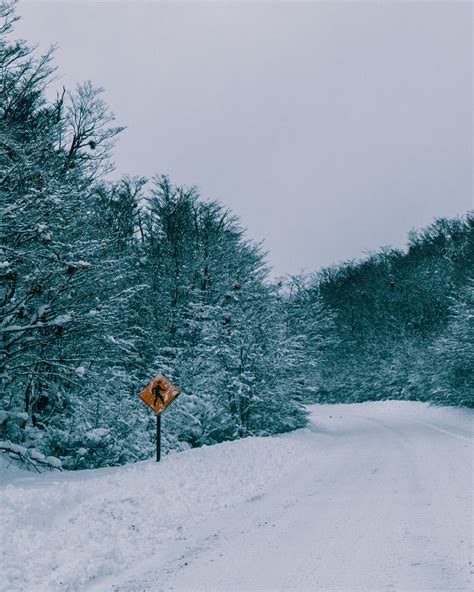 Photo of Road Signs Covered in Snow · Free Stock Photo