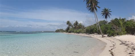 Quelle Est La Meilleure Saison Pour Venir En Guadeloupe G Te Cannelle