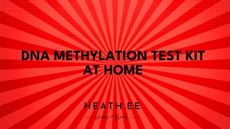 DNA Methylation Test Kit - At Home DNA Testing for Nanotechnology - Heathe