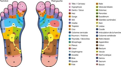 Les Bienfaits De La Réflexologie Plantaire Institut De Beauté Bio à