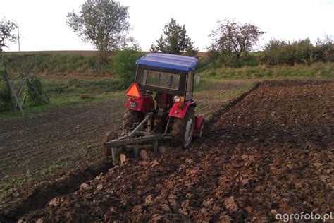 Zdj Cie Traktor Ursus C I Ug Galeria Rolnicza Agrofoto