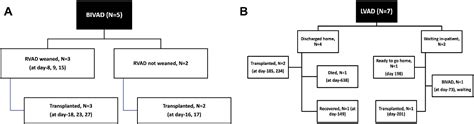 Figure 4 From An Extended Role Of Continuous Flow Device In Pediatric