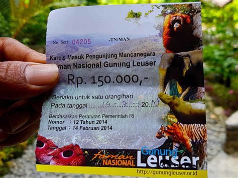 Hello Jungle Trek Bukit Lawang Jungle Rooms Sumatra Ecotravel