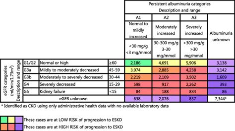 Heat Map Of Adults With Chronic Kidney Disease By Risk Of Progression