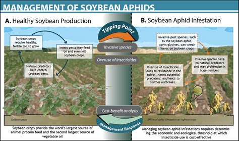 Soybean Aphid Management, USA | Ocean Tipping Points