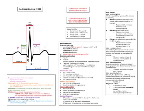 Ekg And Heart Concept Maps Electrocardiogram Ecg Lead Placement Is