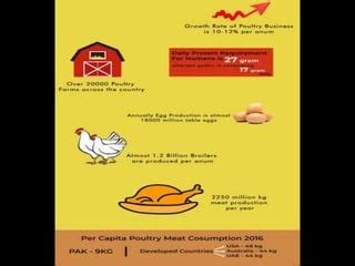 Poultry Farming and problems | PPT