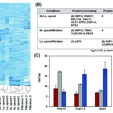 Global Proteome Analysis And Exploration Of Stress Induced Proteins