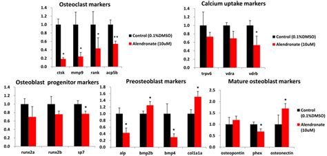 Relative Expression Level Of Osteogenesis Related Genes In