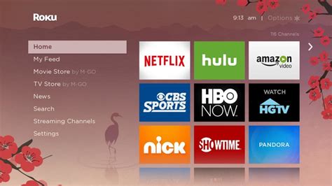 Customize Your Roku Device With Two Free Themes Until 215