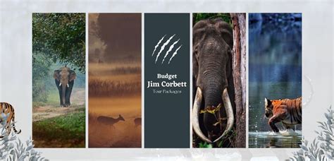 Jim Corbett Budgeted Packages Fair Price 6999 Only BizareXpedition