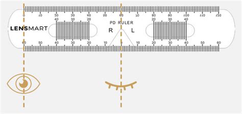 Pupillary Distance Explained How To Measure Pd Lensmart Online