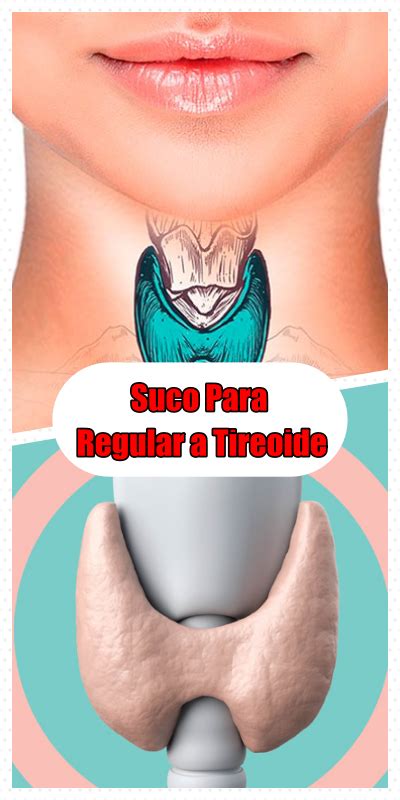 Beba Este Suco Para Regular A Tireoide Perder Peso E Combater