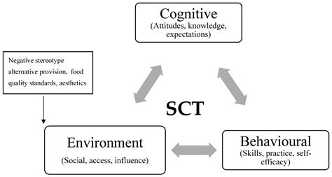 Social Cognitive Theory