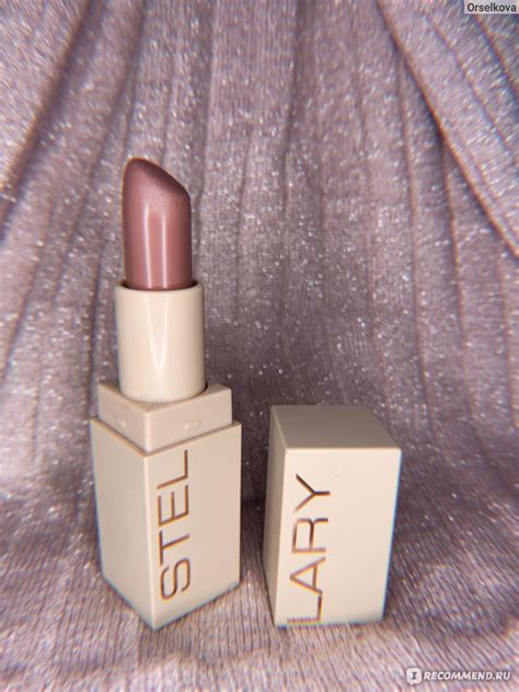 Помада для губ STELLARY устойчивая Long Lasting Lipstick Матовая