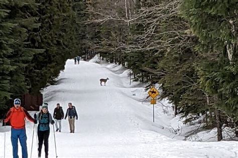 Shuttle to Snoqualmie Pass Ski and Snowboard