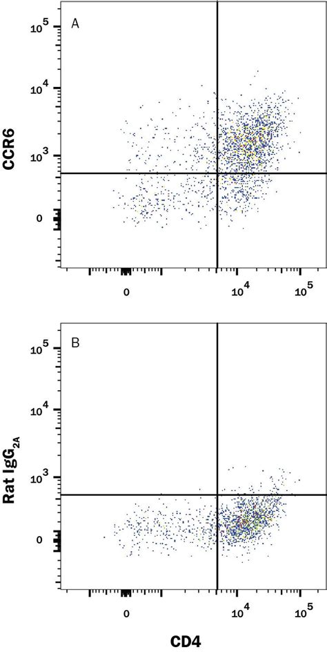 Ccr Antibody Alexa Fluor Fab T Novus Biologicals